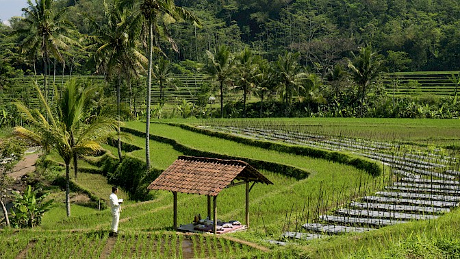 Quinoa Travel