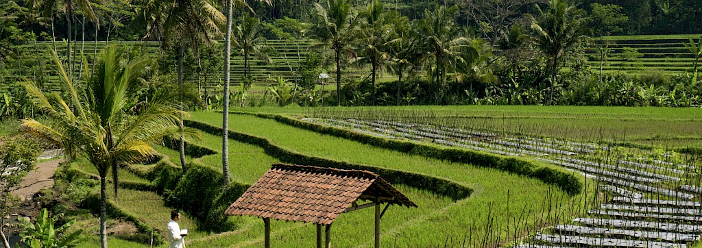 Quinoa Travel