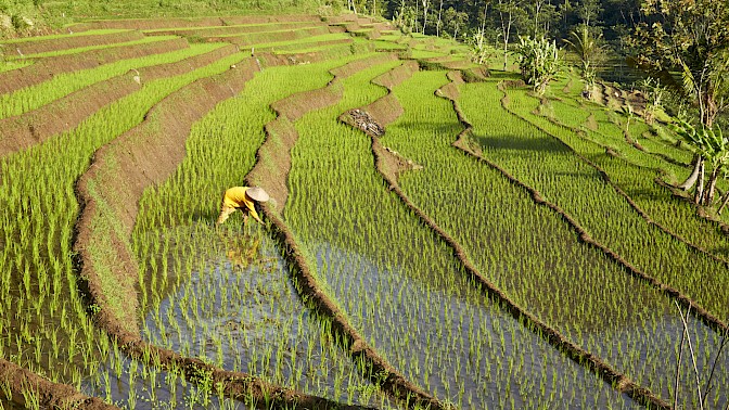 Quinoa Travel