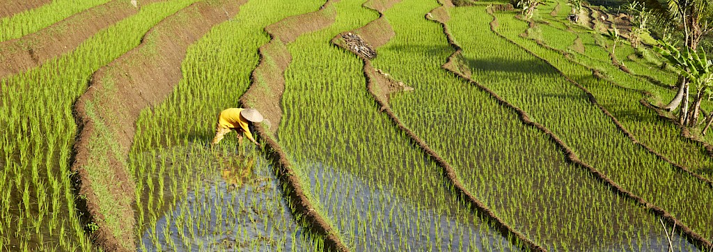 Quinoa Travel