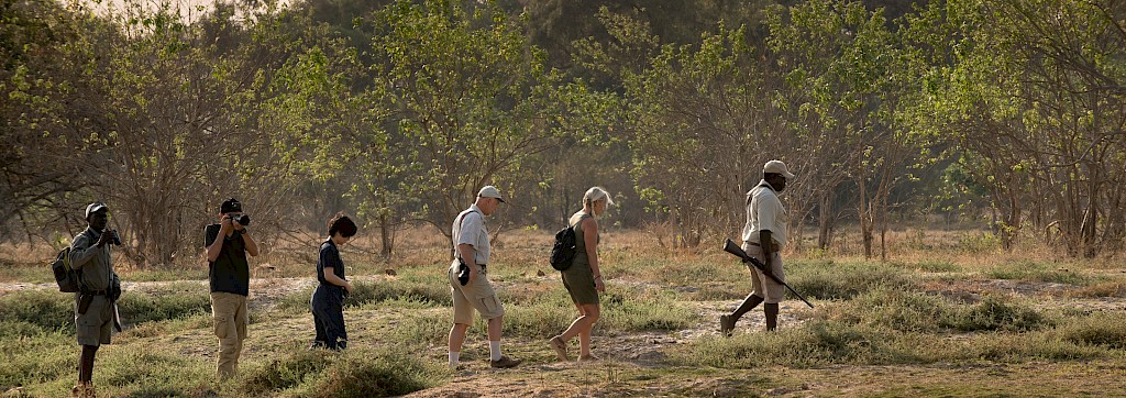 Quinoa Travel