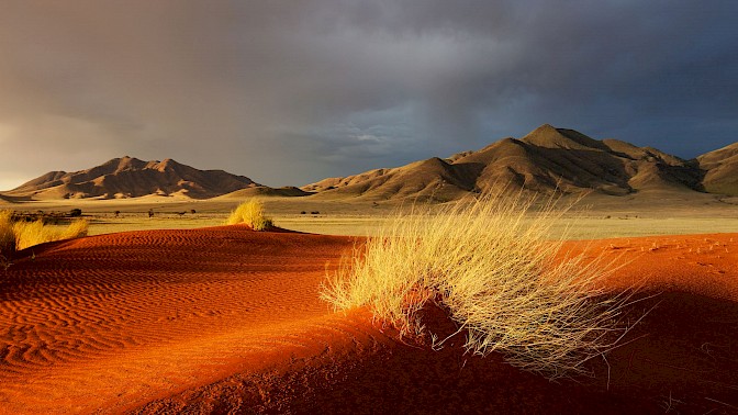 Quinoa Travel