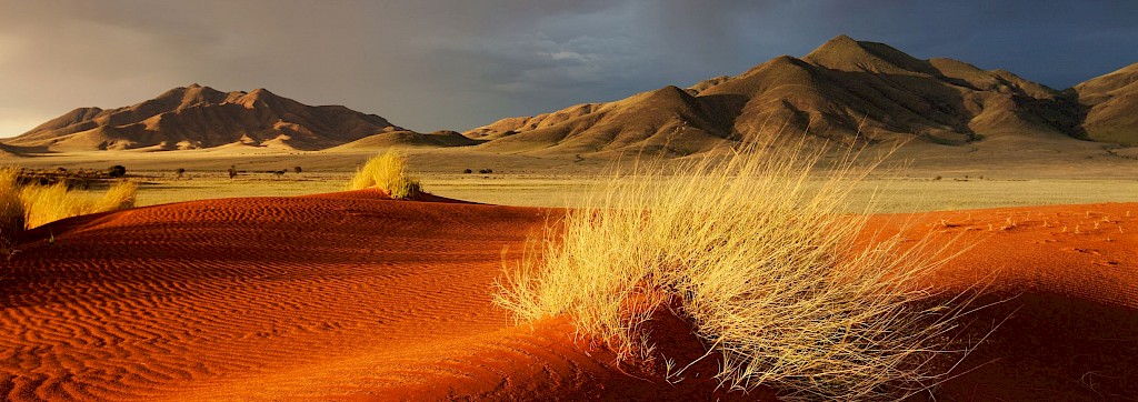 Quinoa Travel