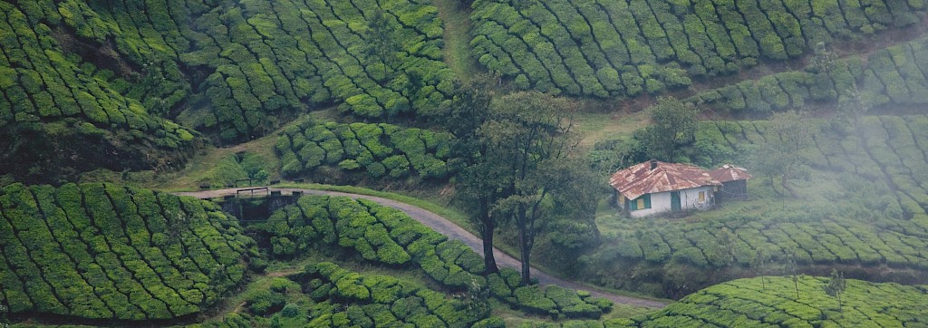 Quinoa Travel