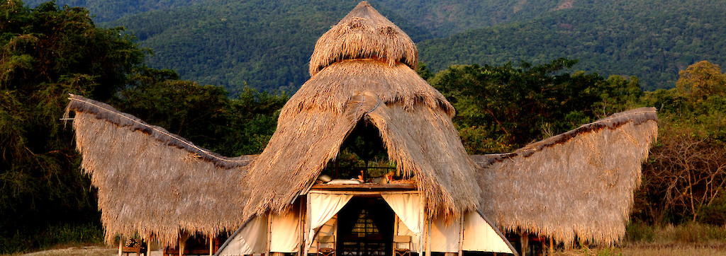 Quinoa Travel
