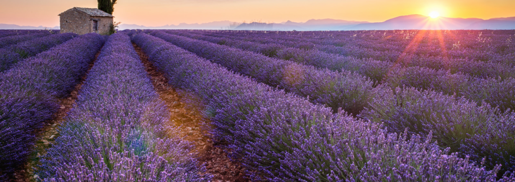 Quinoa Travel