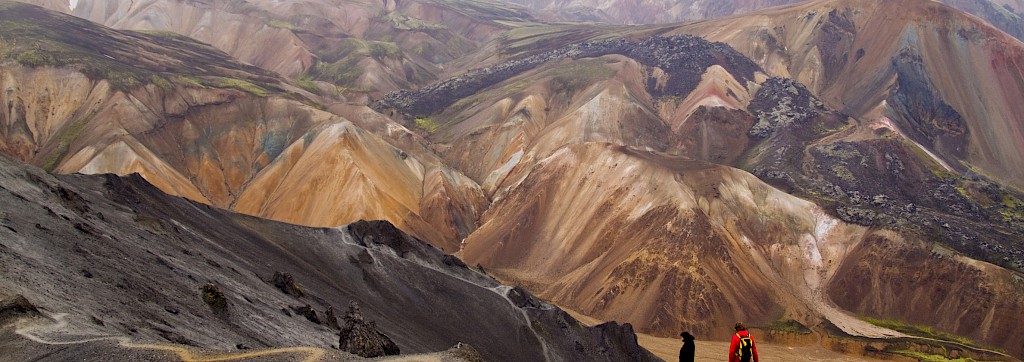 Quinoa Travel