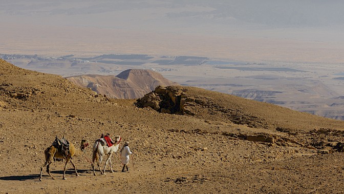 Quinoa Travel