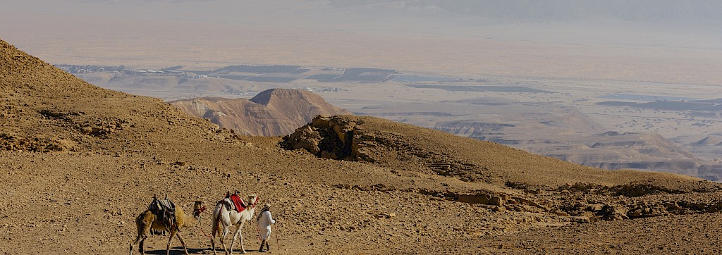 Quinoa Travel