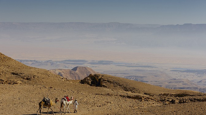 Quinoa Travel