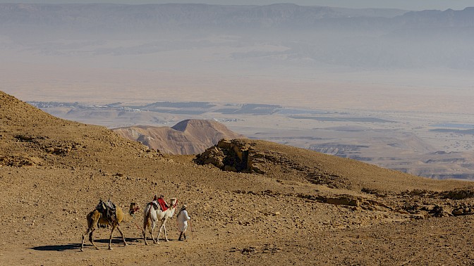 Quinoa Travel