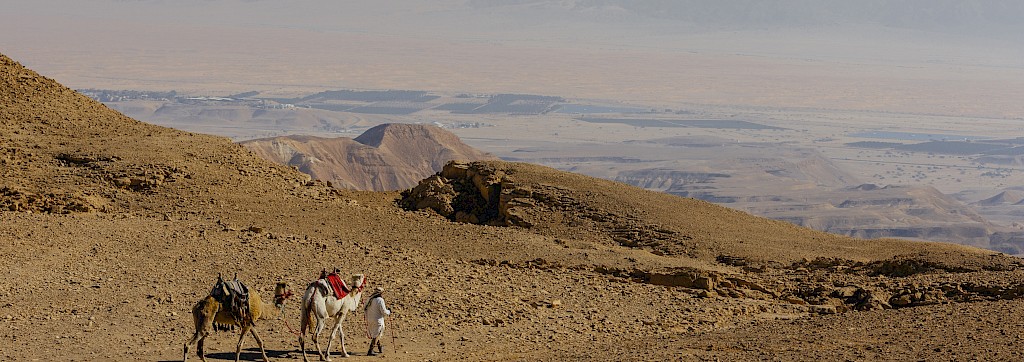 Quinoa Travel