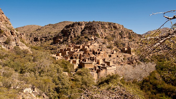 Quinoa Travel