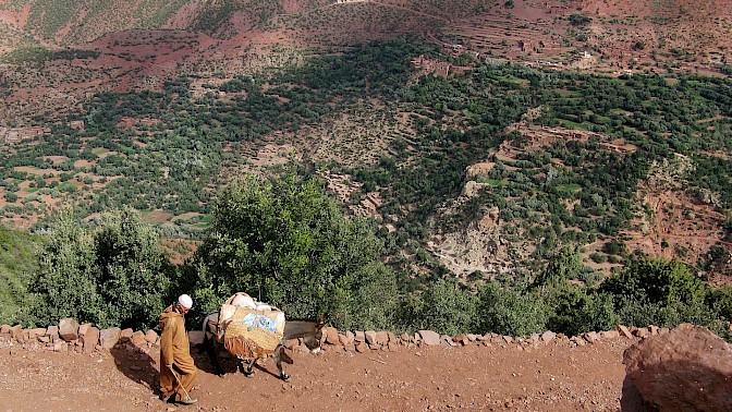 Quinoa Travel